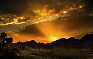 浮云游子意，落日故人情 古詩詞中的思鄉(xiāng)與友情